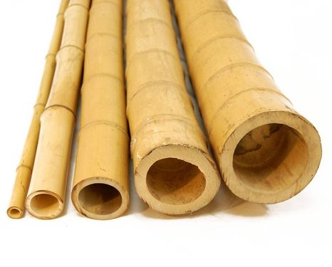 Bambusové tyče hrubé - rôzne rozmery